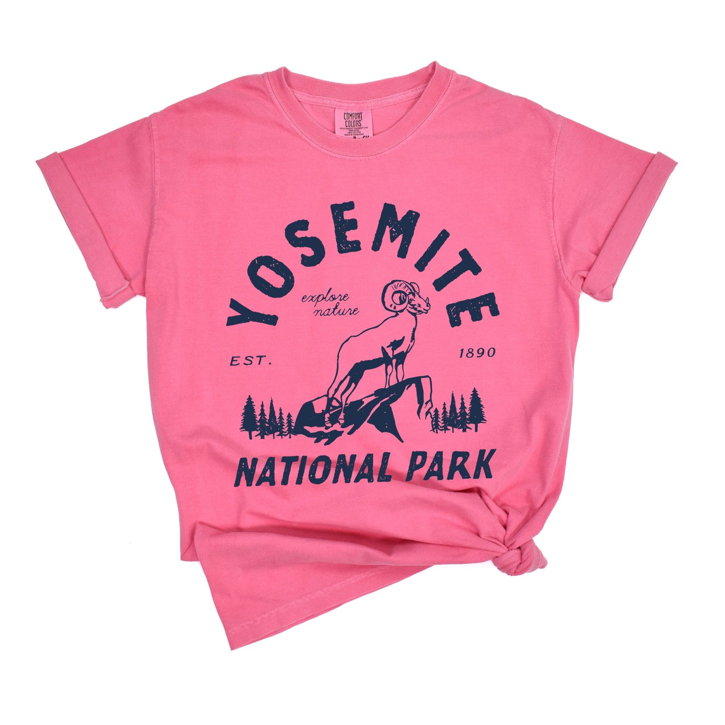 Vintage Yosemite National Park | Garment Dyed Tee